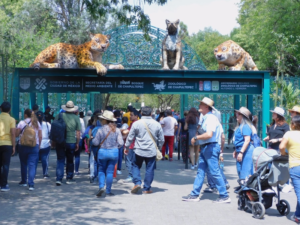 Zoológico de Chapultepec 100 años de construir tejido social