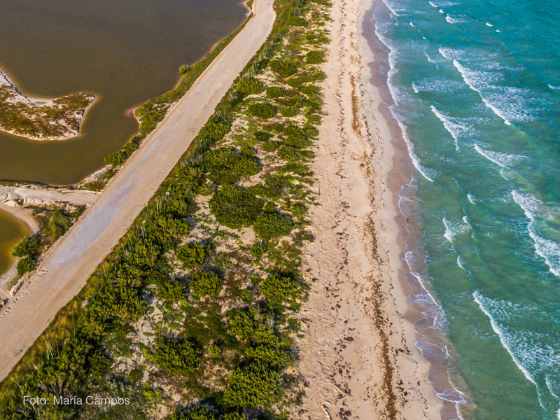 residuos plasticos en yucatan