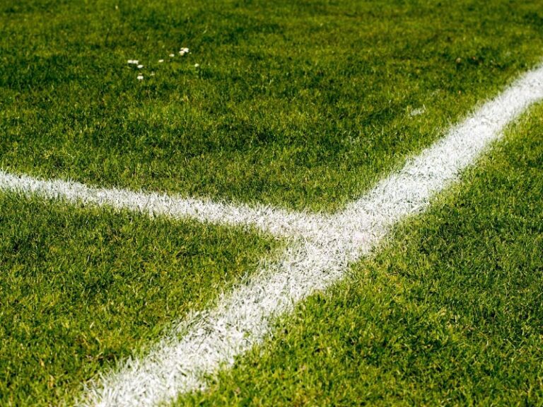 Conoce la campaña conjunta de Sky México y la Bundesliga. Foto: Pixabay.
