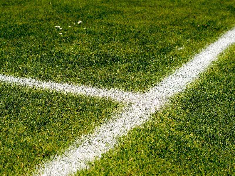 Conoce la campaña conjunta de Sky México y la Bundesliga. Foto: Pixabay.