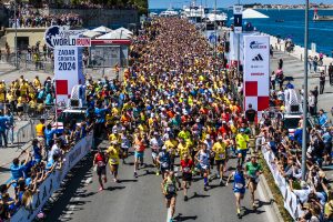 Fuente: Wings for life World Run